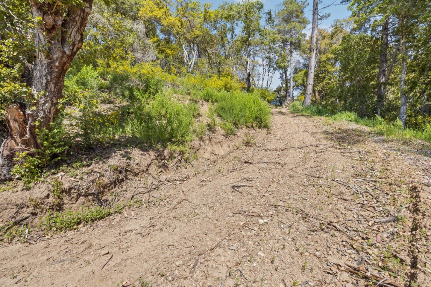 Detail Gallery Image 30 of 31 For 280 Petery Ln, Aptos,  CA 95003 - – Beds | – Baths