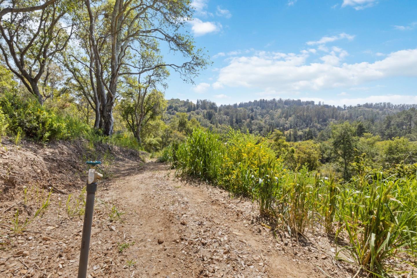 Detail Gallery Image 6 of 31 For 280 Petery Ln, Aptos,  CA 95003 - – Beds | – Baths