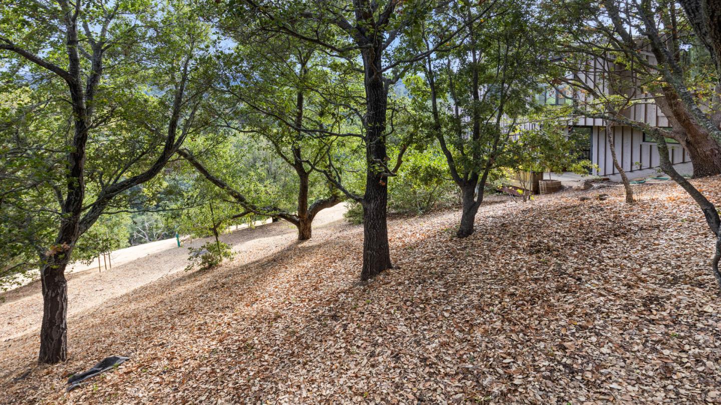 Detail Gallery Image 44 of 59 For 11 Hawk View, Portola Valley,  CA 94028 - 4 Beds | 4 Baths