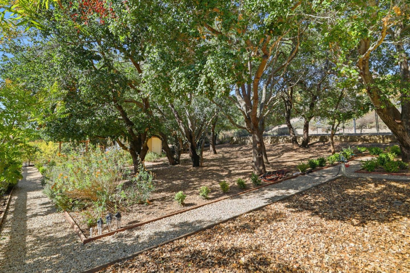 Detail Gallery Image 47 of 54 For 3603 Meadowlands Ln, San Jose,  CA 95135 - 4 Beds | 3 Baths