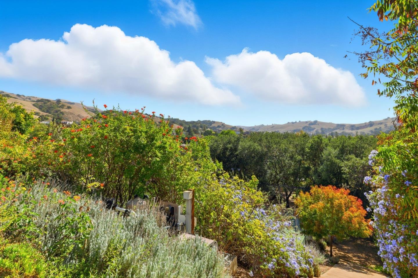 Detail Gallery Image 51 of 54 For 3603 Meadowlands Ln, San Jose,  CA 95135 - 4 Beds | 3 Baths