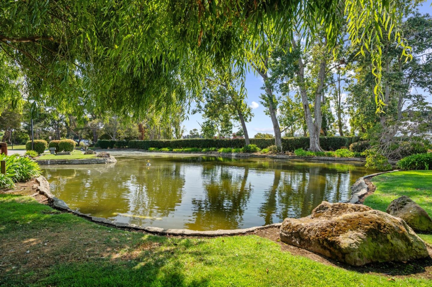 Detail Gallery Image 23 of 24 For 1928 Vista Cay, San Mateo,  CA 94404 - 2 Beds | 2 Baths