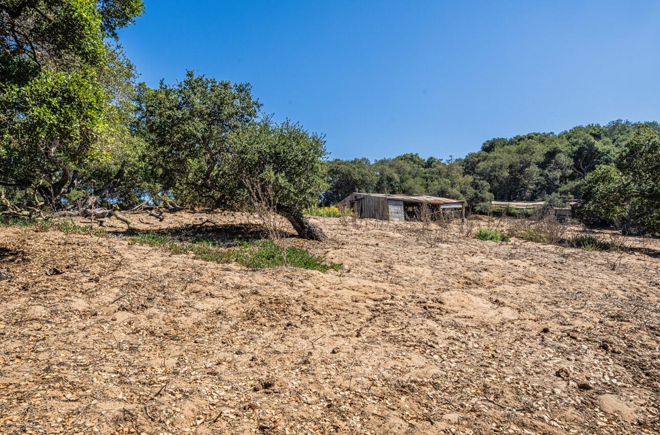 Detail Gallery Image 35 of 39 For 19280 Mallory Canyon Rd, Salinas,  CA 93907 - 3 Beds | 1 Baths