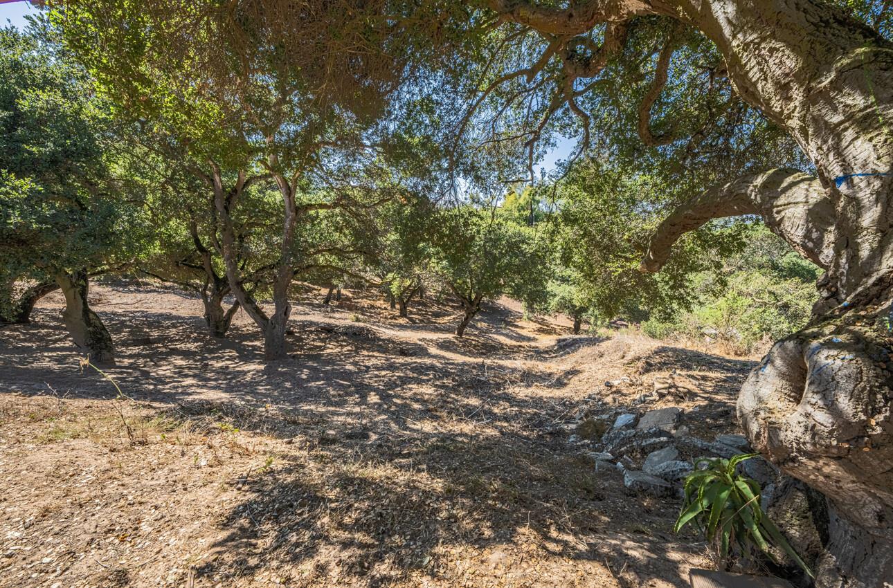 Detail Gallery Image 39 of 39 For 19280 Mallory Canyon Rd, Salinas,  CA 93907 - 3 Beds | 1 Baths
