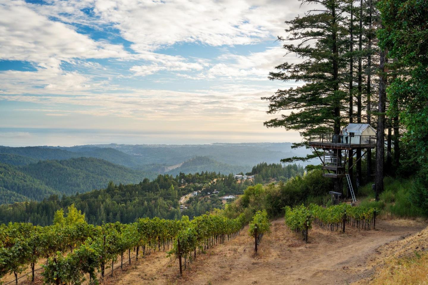 Detail Gallery Image 63 of 116 For 25200 Loma Prieta Ave, Los Gatos,  CA 95033 - 4 Beds | 3 Baths