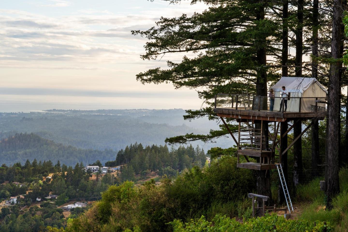 Detail Gallery Image 64 of 116 For 25200 Loma Prieta Ave, Los Gatos,  CA 95033 - 4 Beds | 3 Baths
