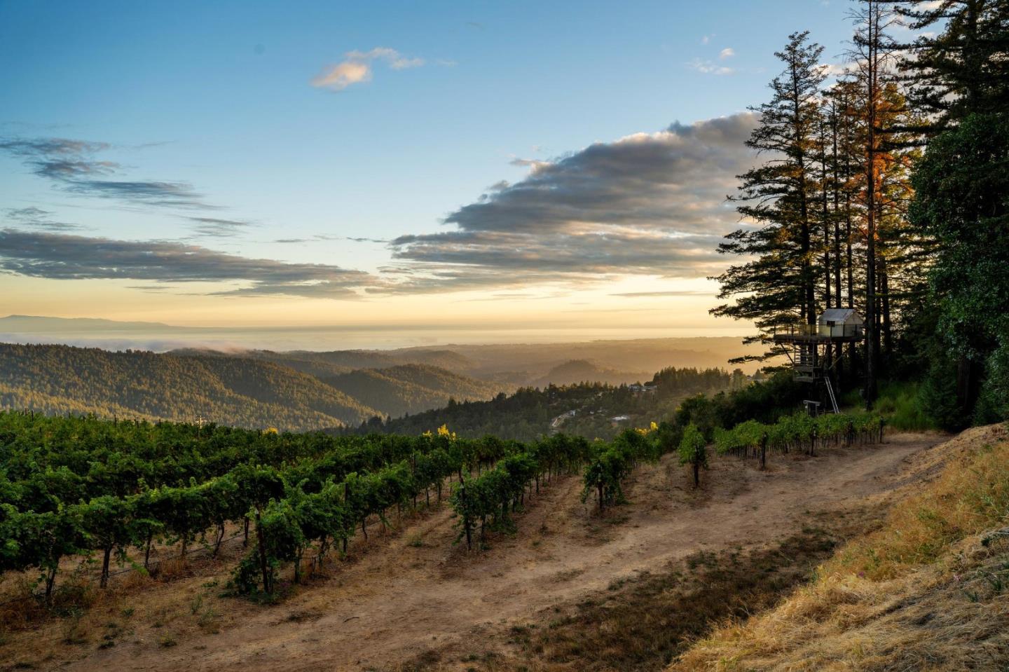 Detail Gallery Image 65 of 116 For 25200 Loma Prieta Ave, Los Gatos,  CA 95033 - 4 Beds | 3 Baths