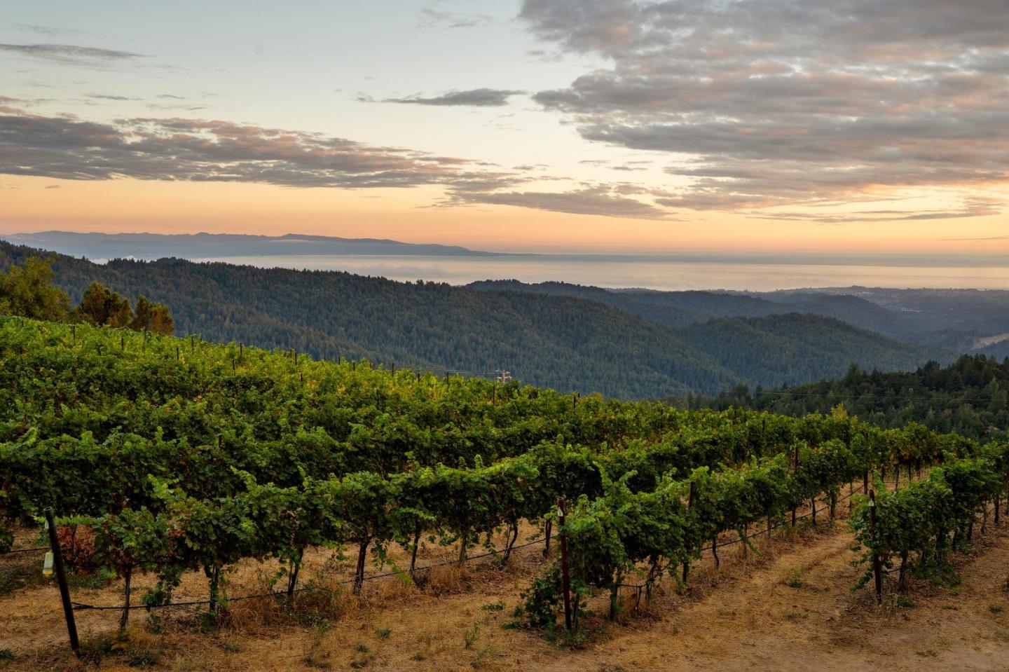 Detail Gallery Image 66 of 116 For 25200 Loma Prieta Ave, Los Gatos,  CA 95033 - 4 Beds | 3 Baths