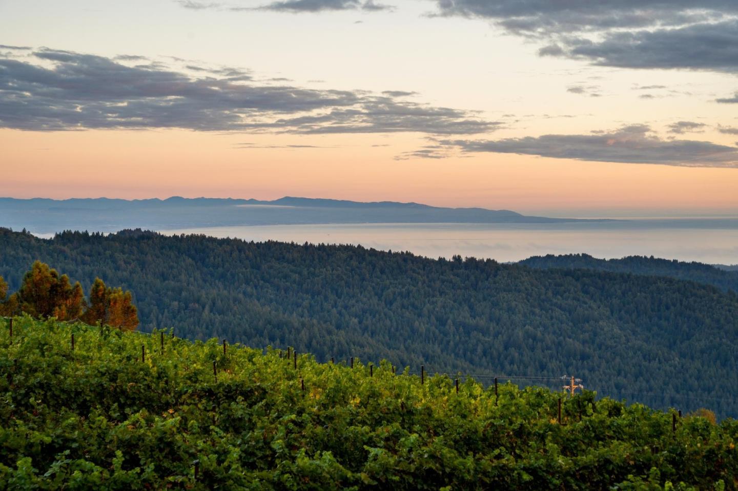 Detail Gallery Image 67 of 116 For 25200 Loma Prieta Ave, Los Gatos,  CA 95033 - 4 Beds | 3 Baths