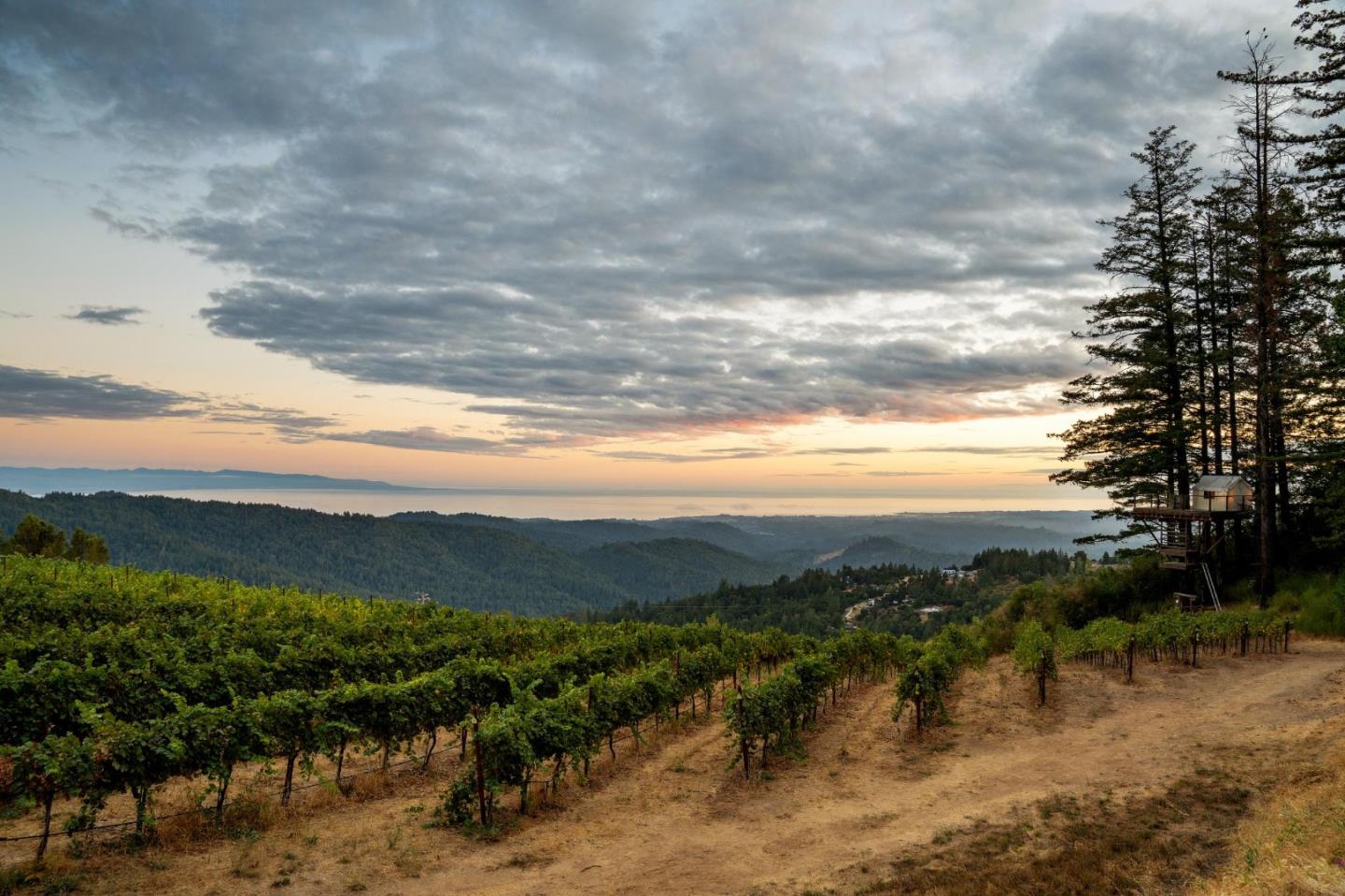 Detail Gallery Image 68 of 116 For 25200 Loma Prieta Ave, Los Gatos,  CA 95033 - 4 Beds | 3 Baths