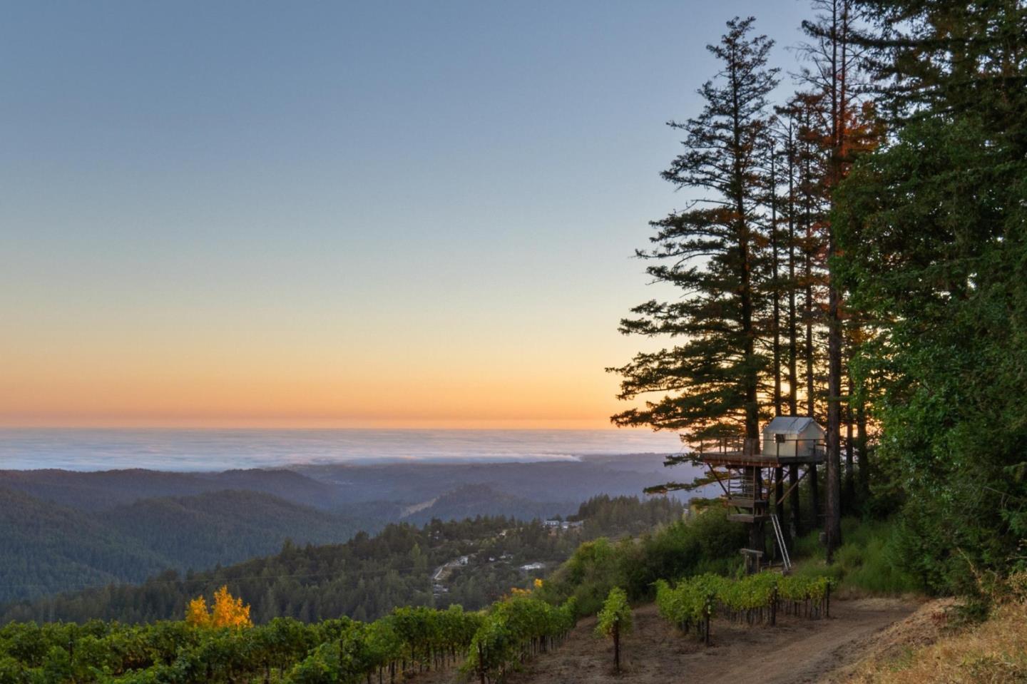 Detail Gallery Image 75 of 116 For 25200 Loma Prieta Ave, Los Gatos,  CA 95033 - 4 Beds | 3 Baths