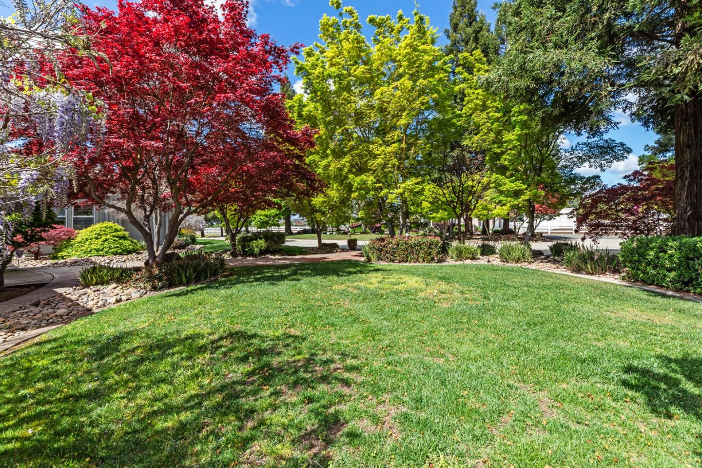 Detail Gallery Image 20 of 64 For 5000 Peach Blossom Ln, Oakdale,  CA 95361 - 4 Beds | 3/1 Baths