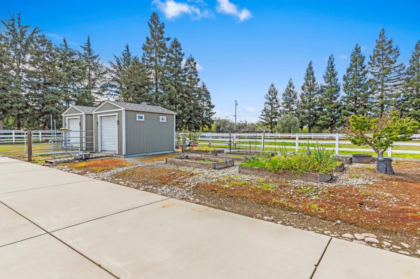 Detail Gallery Image 23 of 64 For 5000 Peach Blossom Ln, Oakdale,  CA 95361 - 4 Beds | 3/1 Baths
