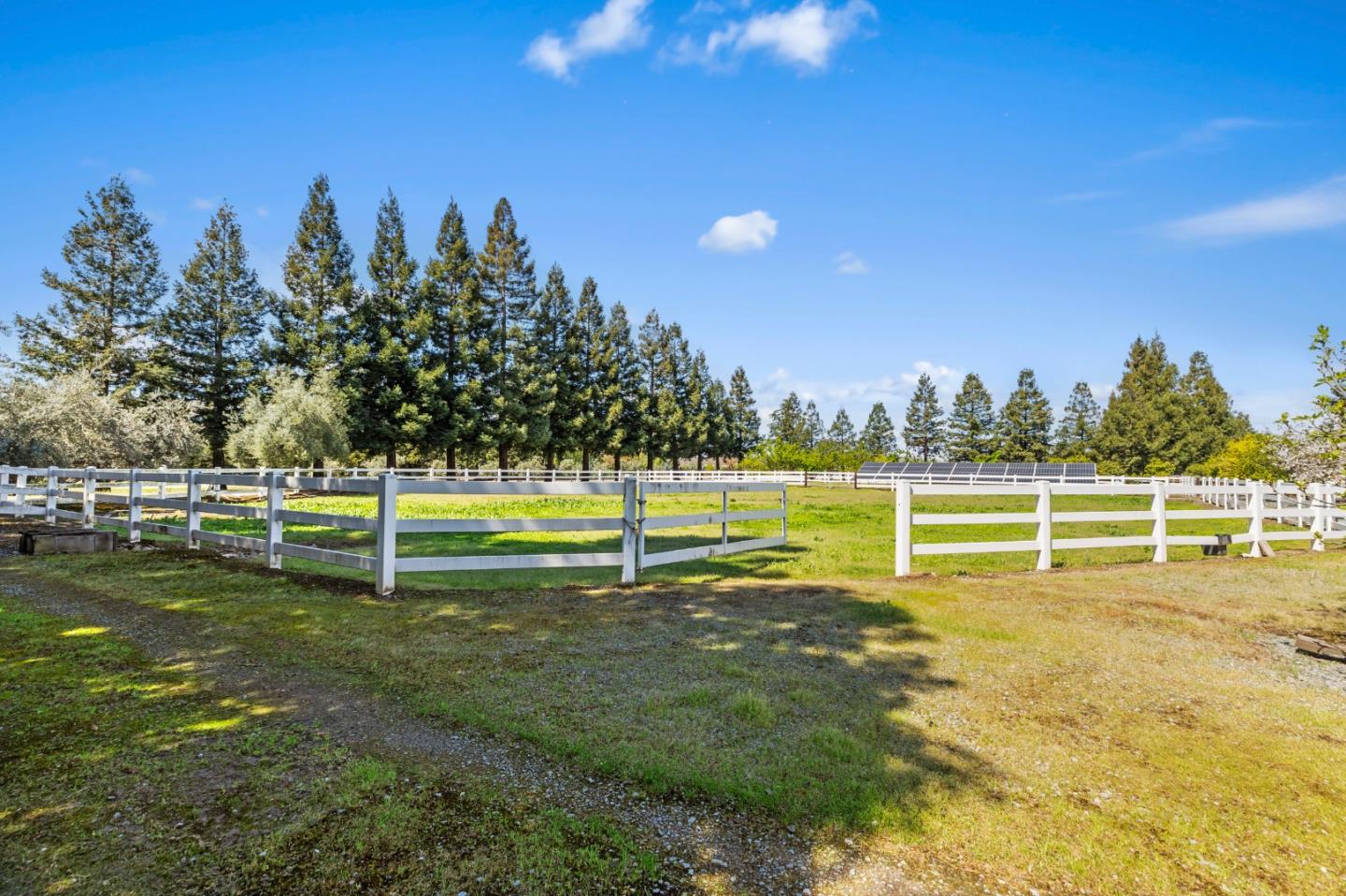 Detail Gallery Image 9 of 64 For 5000 Peach Blossom Ln, Oakdale,  CA 95361 - 4 Beds | 3/1 Baths