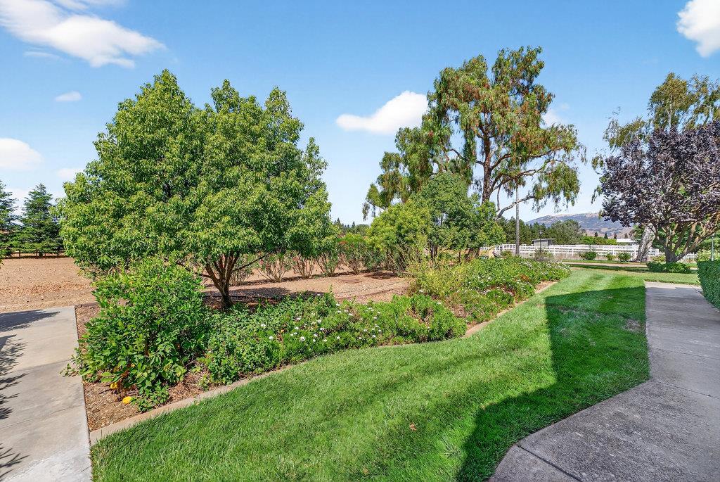 Detail Gallery Image 59 of 81 For 12315 Harding Ave, San Martin,  CA 95046 - 4 Beds | 3/1 Baths