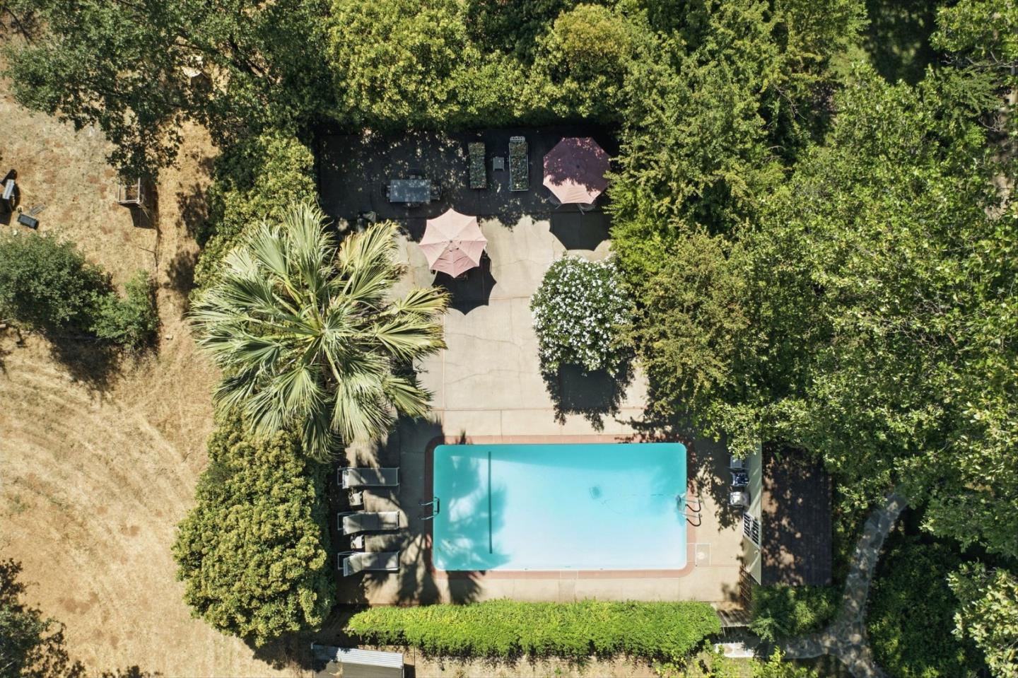Detail Gallery Image 3 of 72 For 1330 Jackson Gate Rd, Jackson,  CA 95642 - 7 Beds | 6 Baths