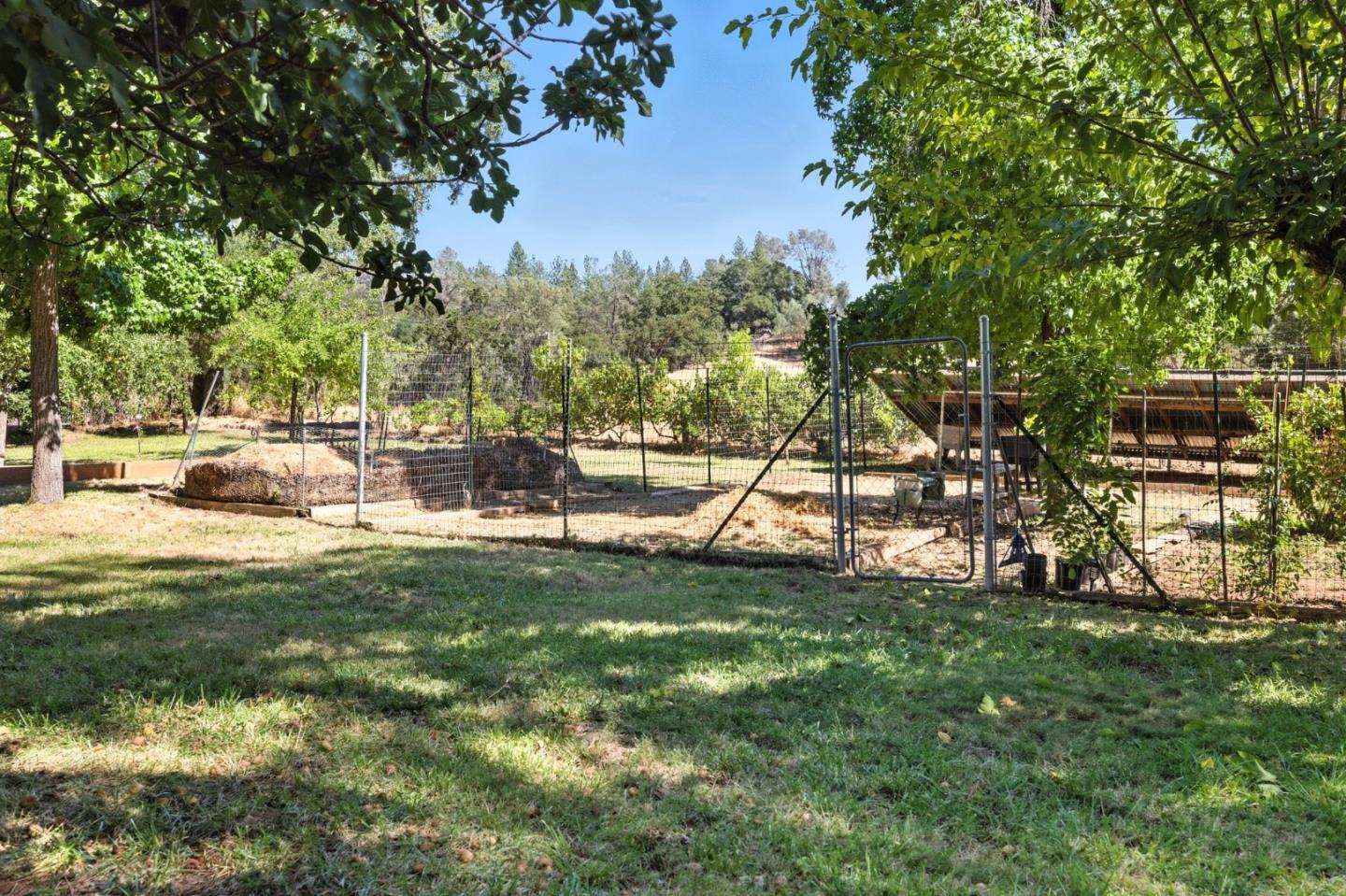 Detail Gallery Image 66 of 72 For 1330 Jackson Gate Rd, Jackson,  CA 95642 - 7 Beds | 6 Baths