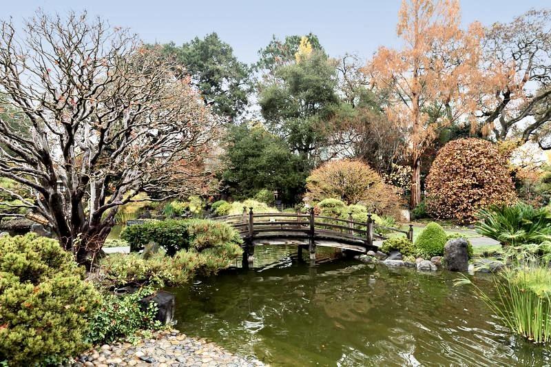 Detail Gallery Image 31 of 31 For 200 Elm St #107,  San Mateo,  CA 94401 - 1 Beds | 1 Baths