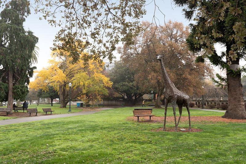 Detail Gallery Image 36 of 39 For 200 Elm St #107,  San Mateo,  CA 94401 - 1 Beds | 1 Baths