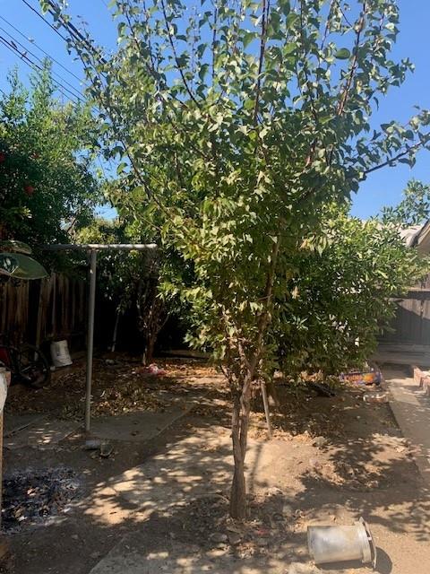 Detail Gallery Image 17 of 19 For 1549 Terilyn Ave, San Jose,  CA 95122 - 3 Beds | 1 Baths