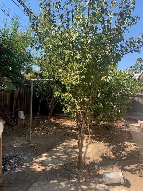 Detail Gallery Image 18 of 19 For 1549 Terilyn Ave, San Jose,  CA 95122 - 3 Beds | 1 Baths