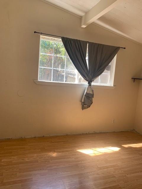 Detail Gallery Image 9 of 19 For 1549 Terilyn Ave, San Jose,  CA 95122 - 3 Beds | 1 Baths