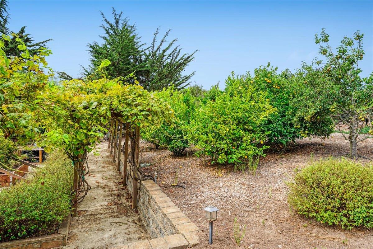 Detail Gallery Image 77 of 94 For 405 Heather Point and 390 Heather Point Ln, Watsonville,  CA 95076 - 4 Beds | 4/1 Baths