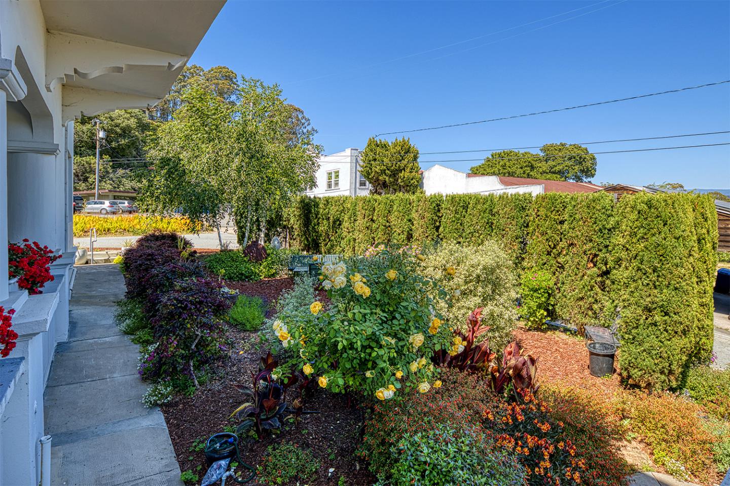 Detail Gallery Image 34 of 46 For 260 High St #204,  Santa Cruz,  CA 95060 - 0 Beds | 1 Baths