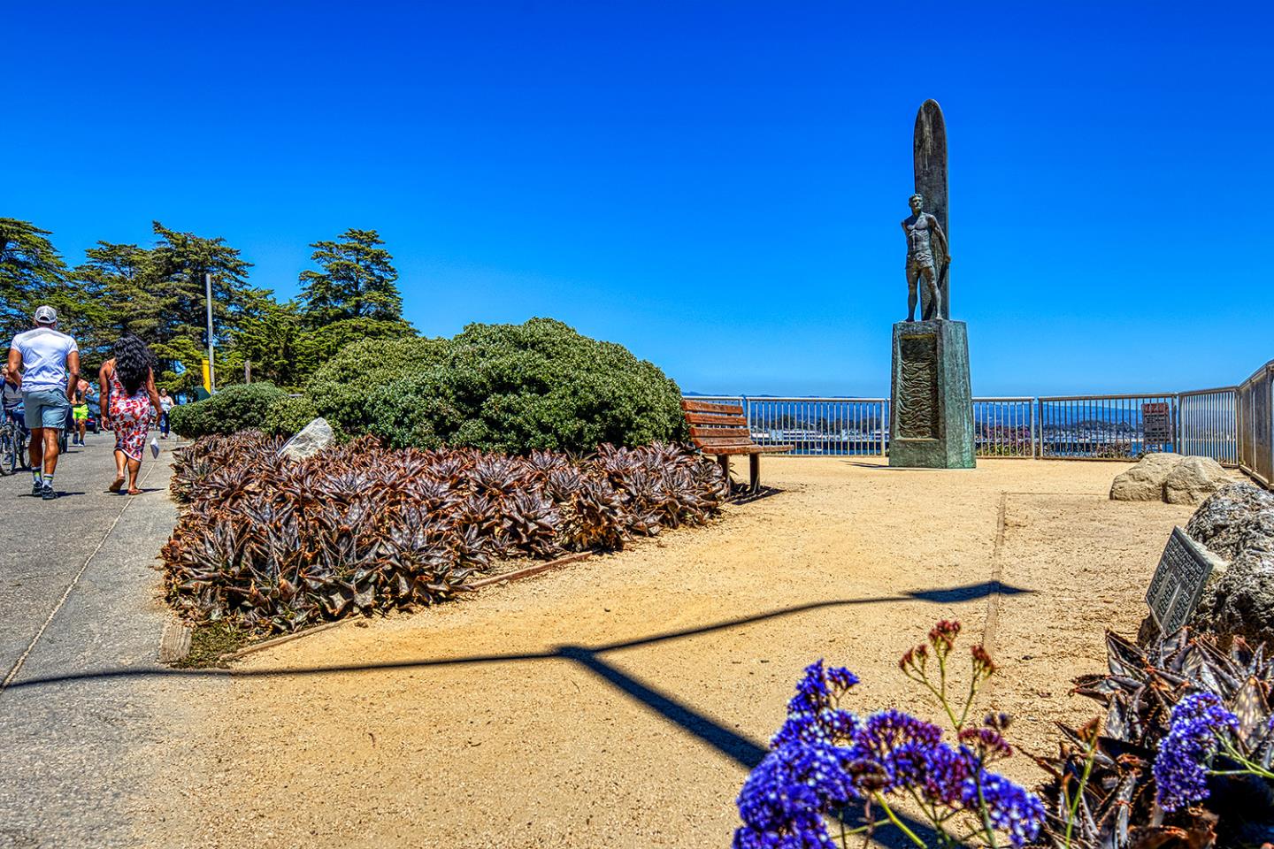 Detail Gallery Image 40 of 46 For 260 High St #204,  Santa Cruz,  CA 95060 - 0 Beds | 1 Baths