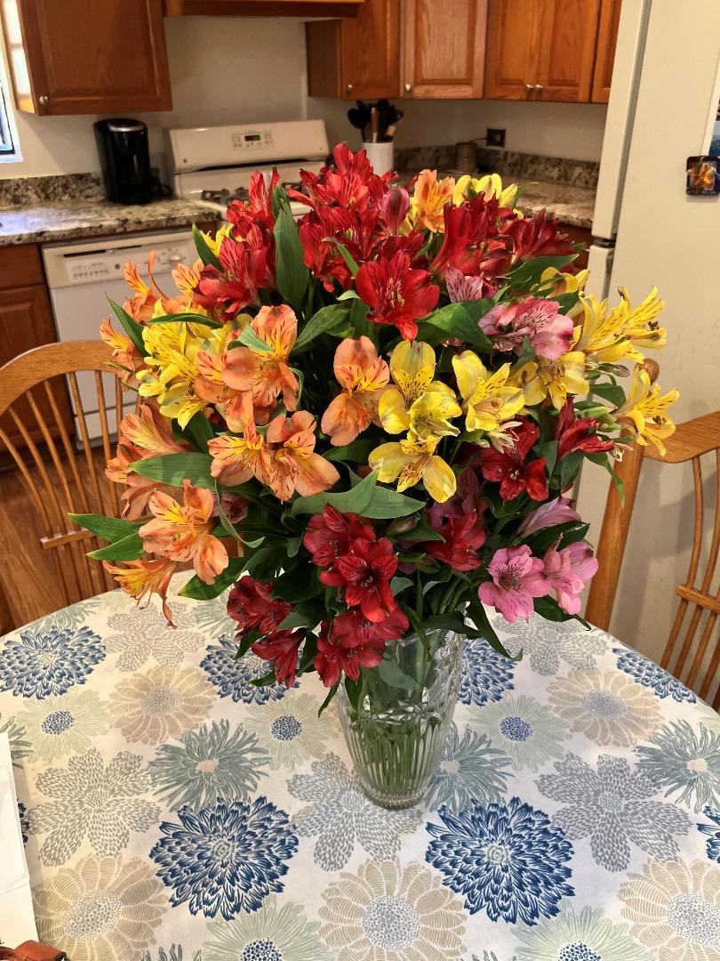 7185 Redwood Retreat Road, Gilroy, CA, 95020