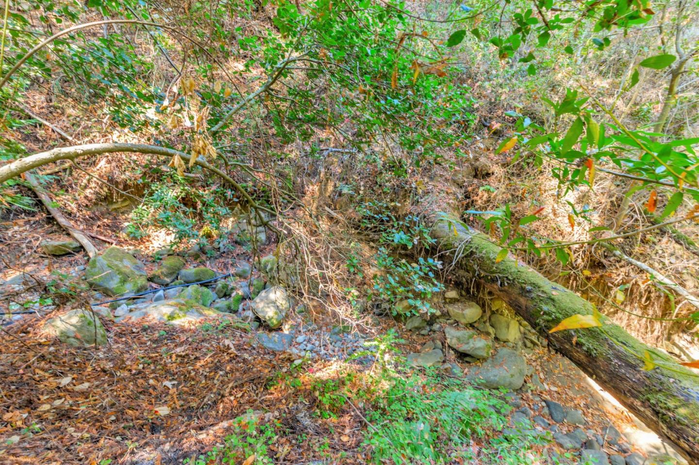 Detail Gallery Image 45 of 49 For 7185 Redwood Retreat Rd, Gilroy,  CA 95020 - 2 Beds | 2 Baths