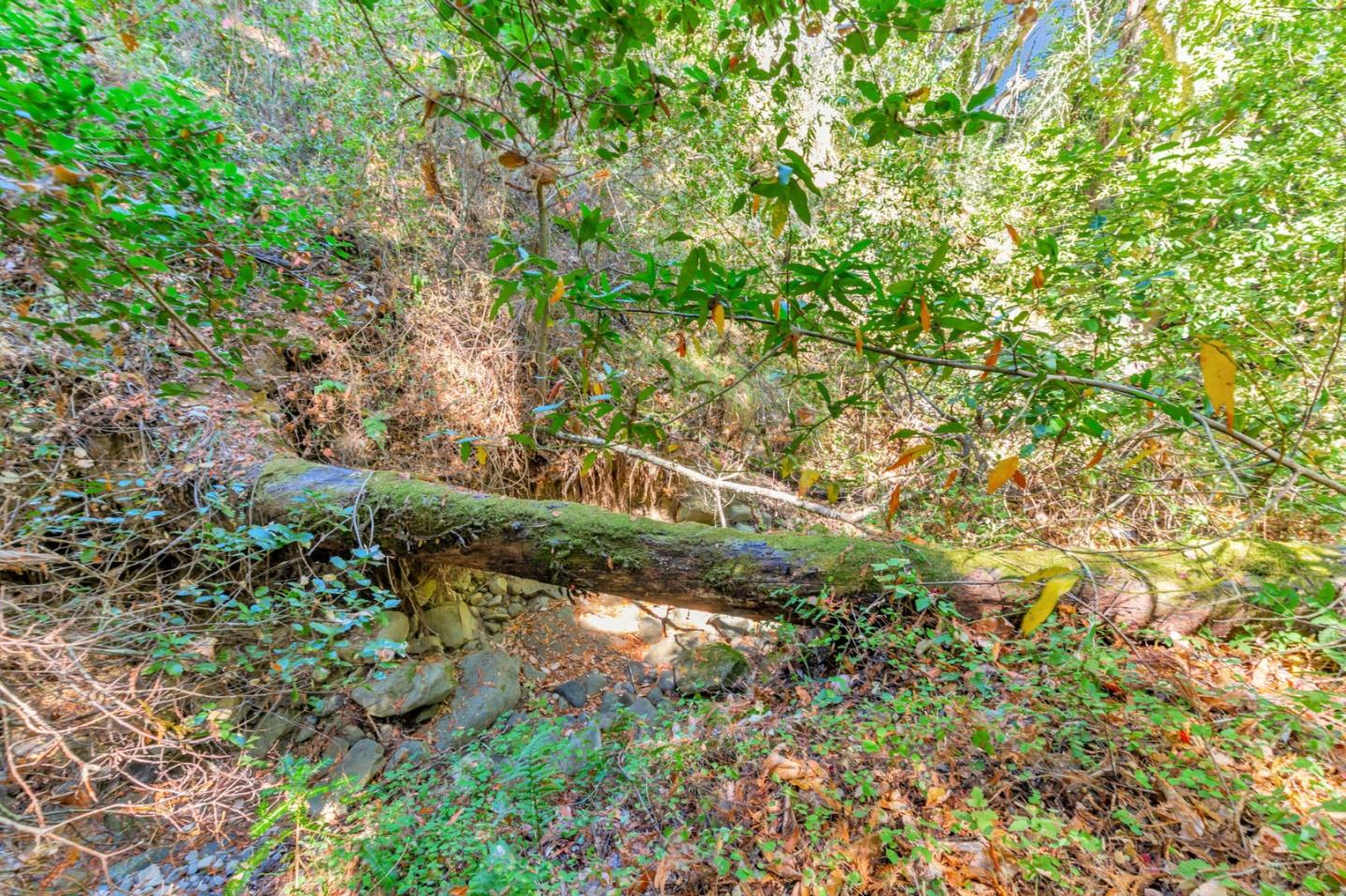 Detail Gallery Image 46 of 49 For 7185 Redwood Retreat Rd, Gilroy,  CA 95020 - 2 Beds | 2 Baths