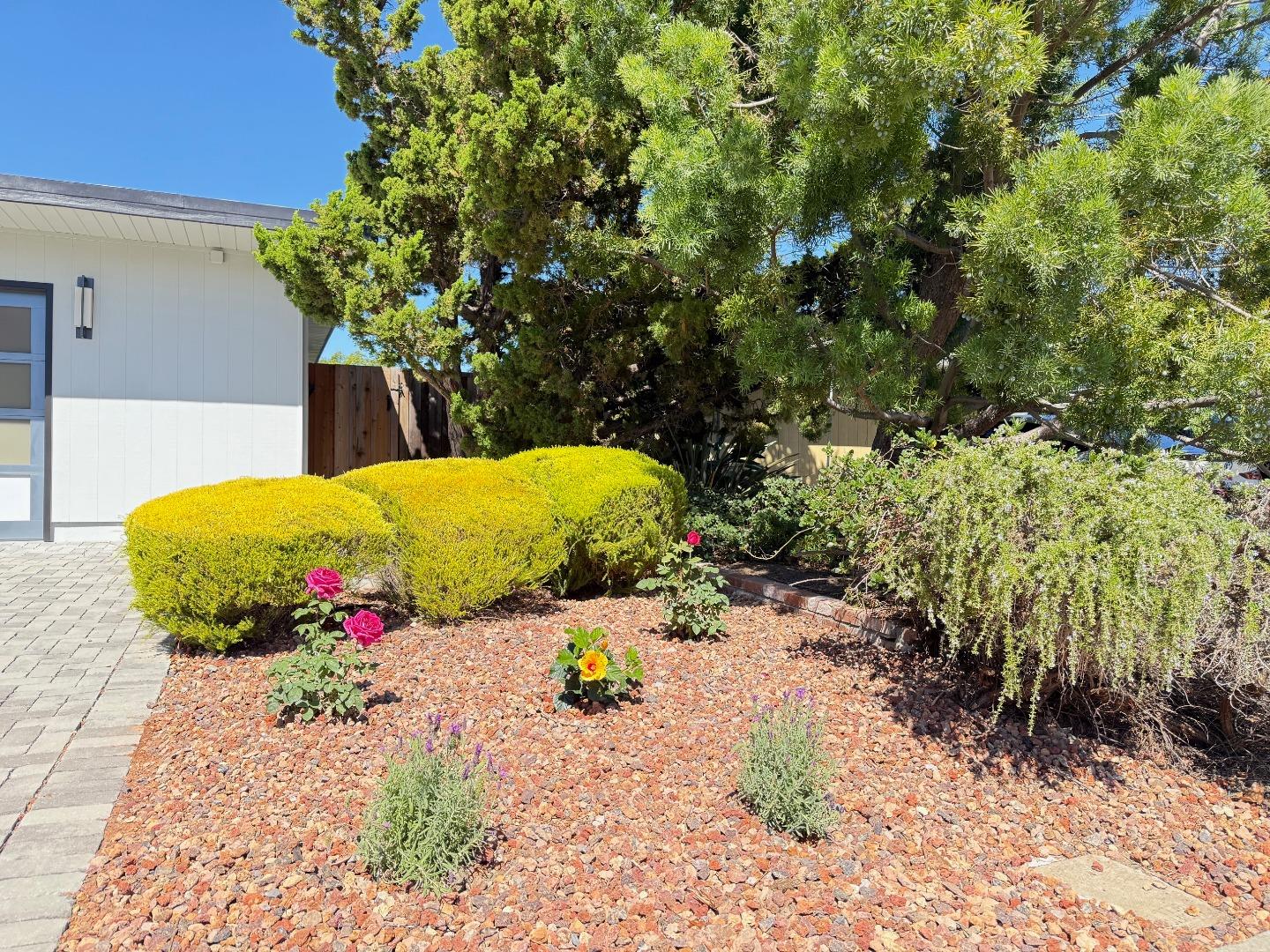 Detail Gallery Image 61 of 61 For 1105 Lorne Way, Sunnyvale,  CA 94087 - 4 Beds | 2 Baths