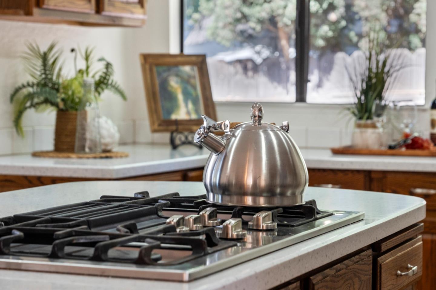 Detail Gallery Image 23 of 56 For 841 Willis Ave, San Jose,  CA 95125 - 3 Beds | 1/1 Baths