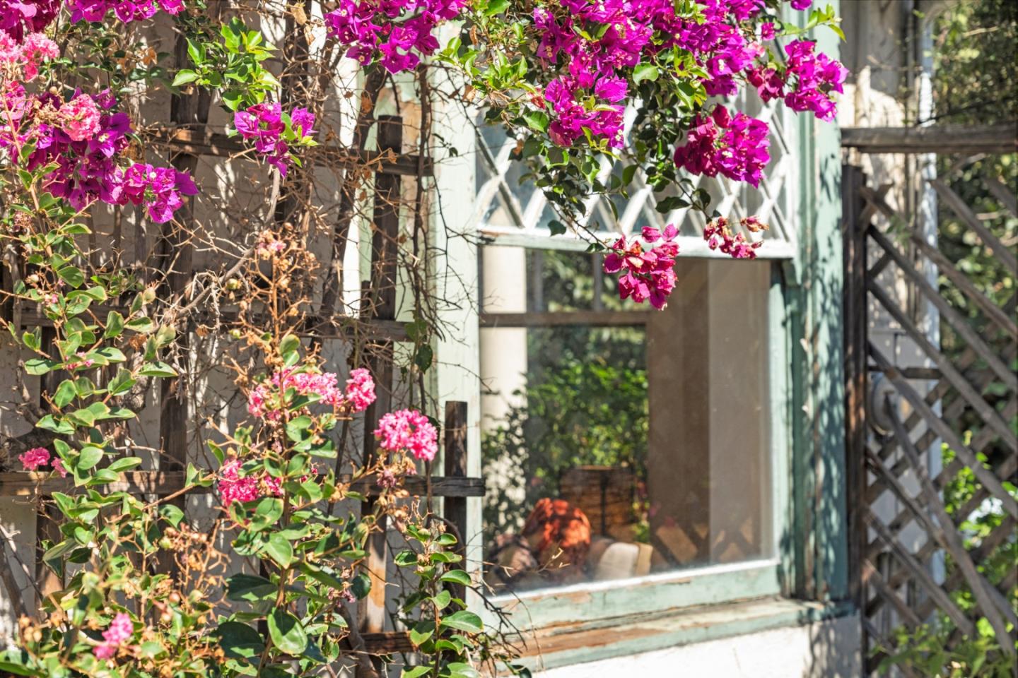 Detail Gallery Image 7 of 56 For 841 Willis Ave, San Jose,  CA 95125 - 3 Beds | 1/1 Baths