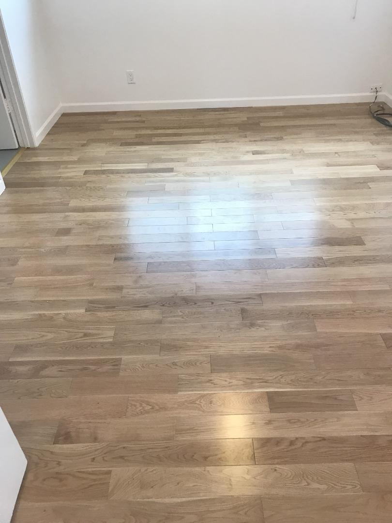 2469 Olive Avenue, San Jose, CA, 95128