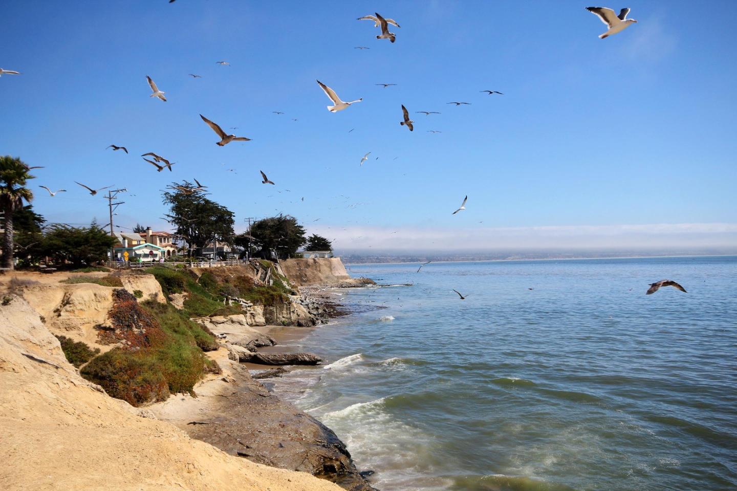 Detail Gallery Image 31 of 33 For 1040 38th Ave #47,  Santa Cruz,  CA 95062 - 2 Beds | 2 Baths