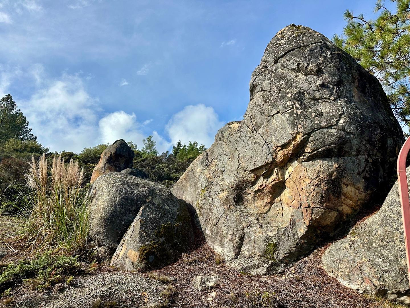 Detail Gallery Image 37 of 54 For 301 Red Dog Rdg, Watsonville,  CA 95076 - – Beds | – Baths