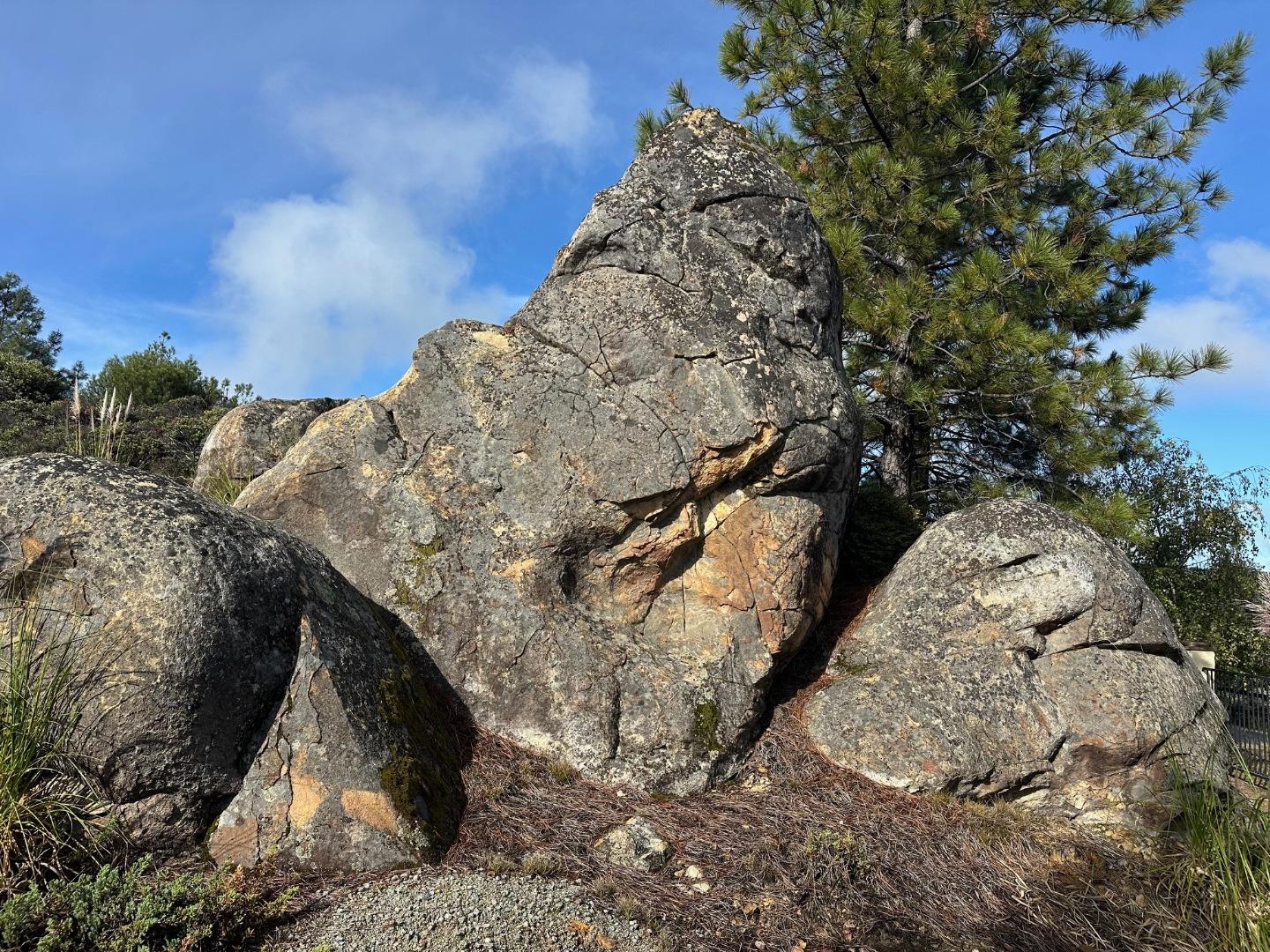 Detail Gallery Image 39 of 54 For 301 Red Dog Rdg, Watsonville,  CA 95076 - – Beds | – Baths