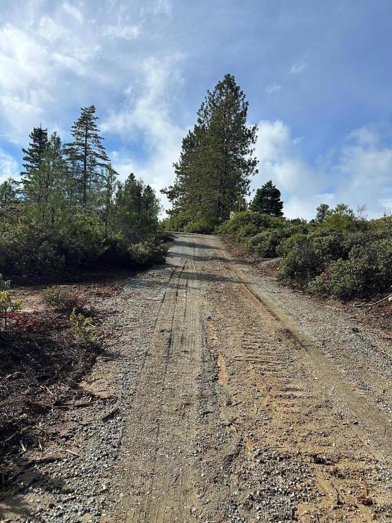 Detail Gallery Image 45 of 54 For 301 Red Dog Rdg, Watsonville,  CA 95076 - – Beds | – Baths