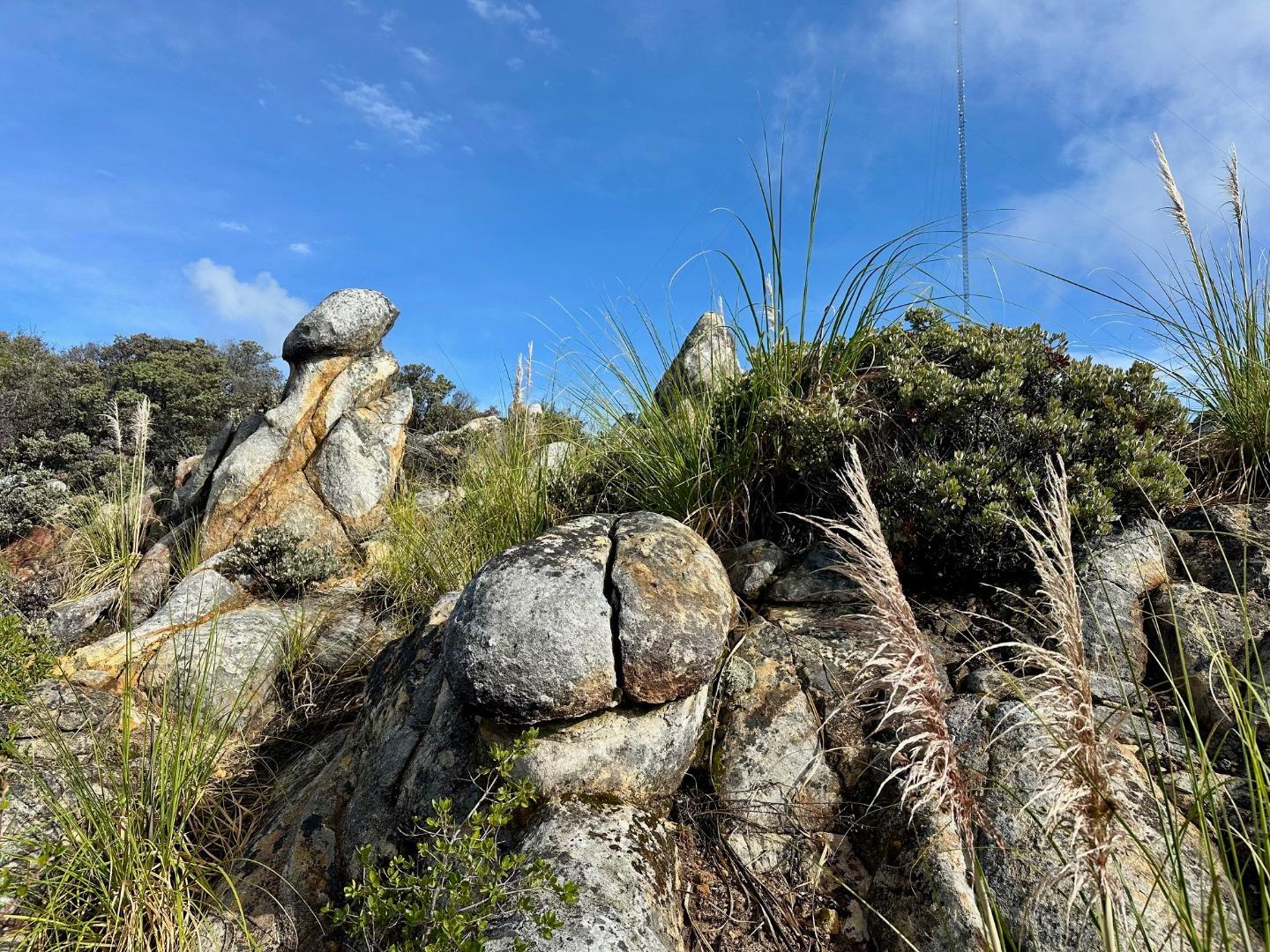 Detail Gallery Image 48 of 54 For 301 Red Dog Rdg, Watsonville,  CA 95076 - – Beds | – Baths