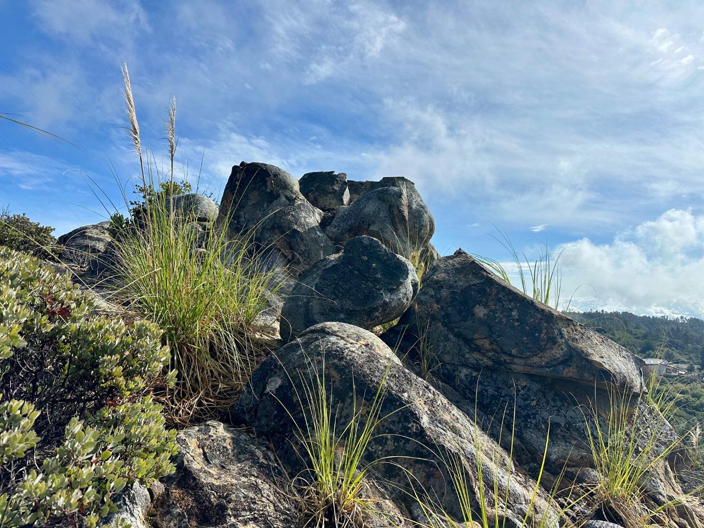 Detail Gallery Image 49 of 54 For 301 Red Dog Rdg, Watsonville,  CA 95076 - – Beds | – Baths