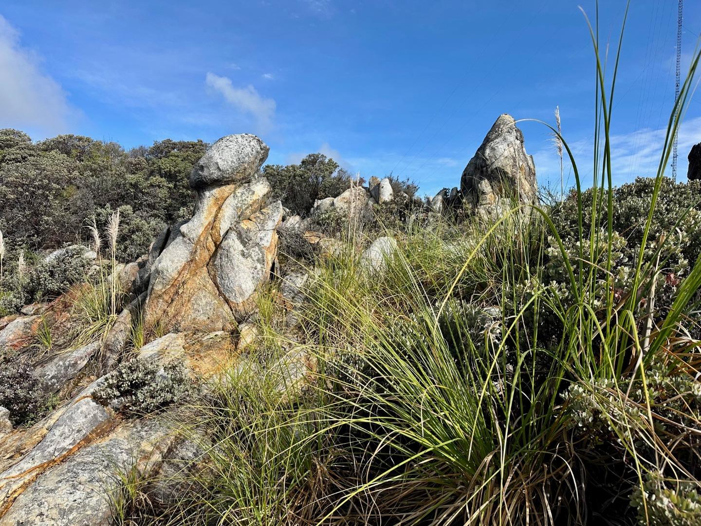 Detail Gallery Image 50 of 54 For 301 Red Dog Rdg, Watsonville,  CA 95076 - – Beds | – Baths