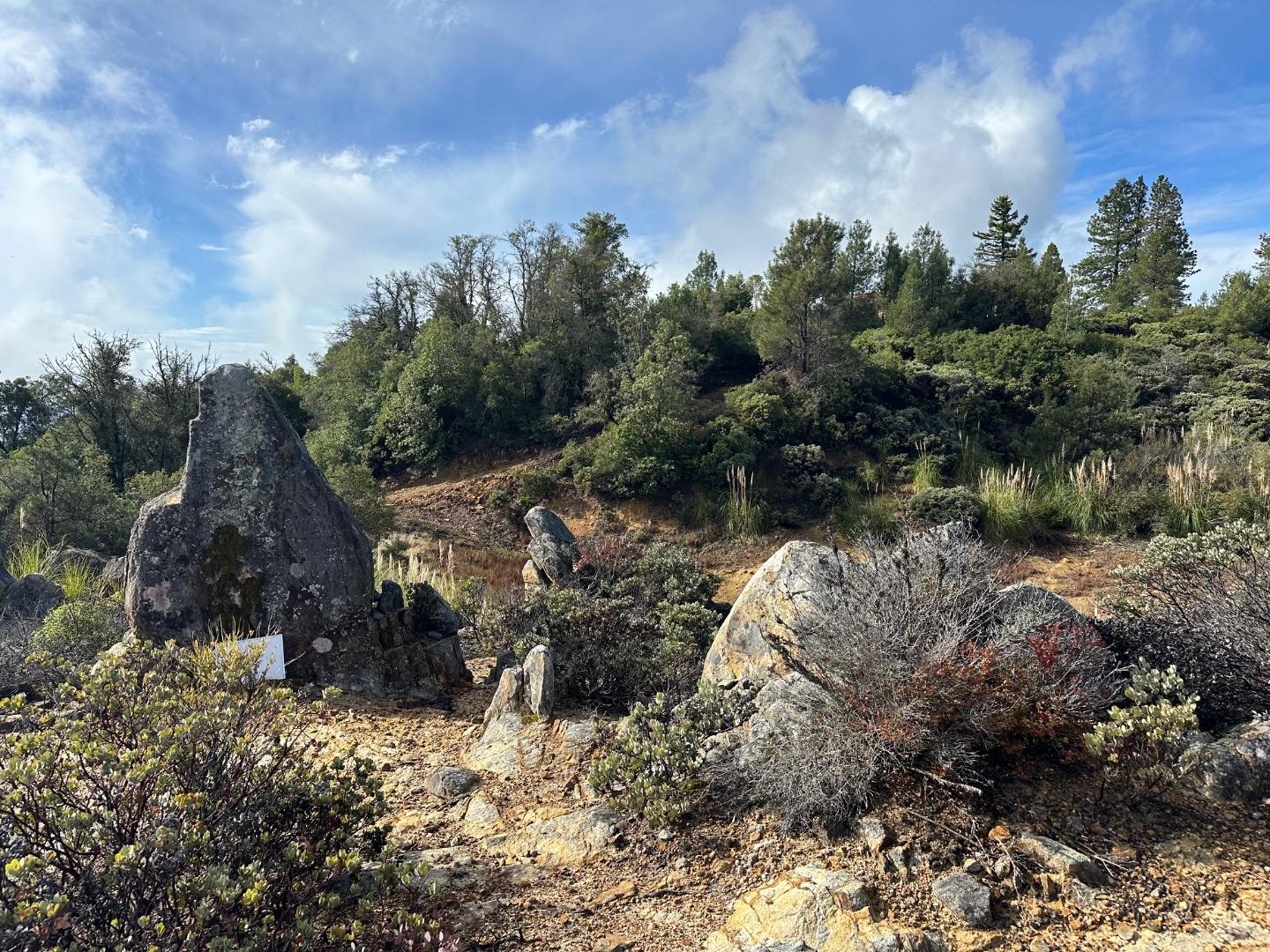 Detail Gallery Image 52 of 54 For 301 Red Dog Rdg, Watsonville,  CA 95076 - – Beds | – Baths