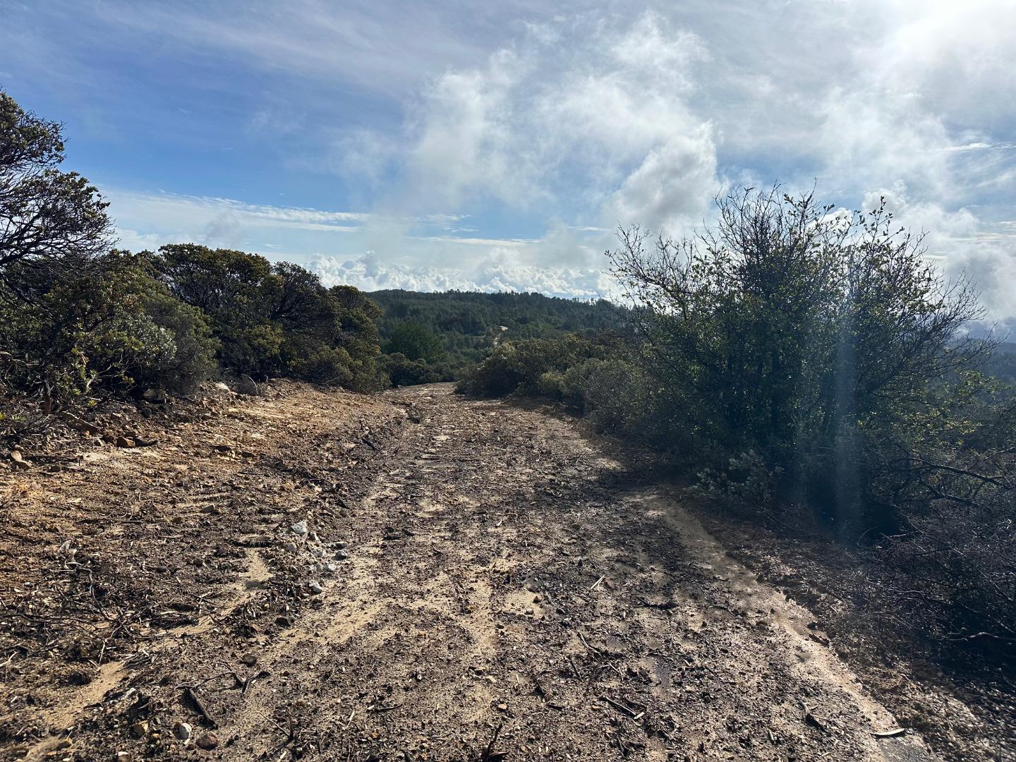 Detail Gallery Image 53 of 54 For 301 Red Dog Rdg, Watsonville,  CA 95076 - – Beds | – Baths