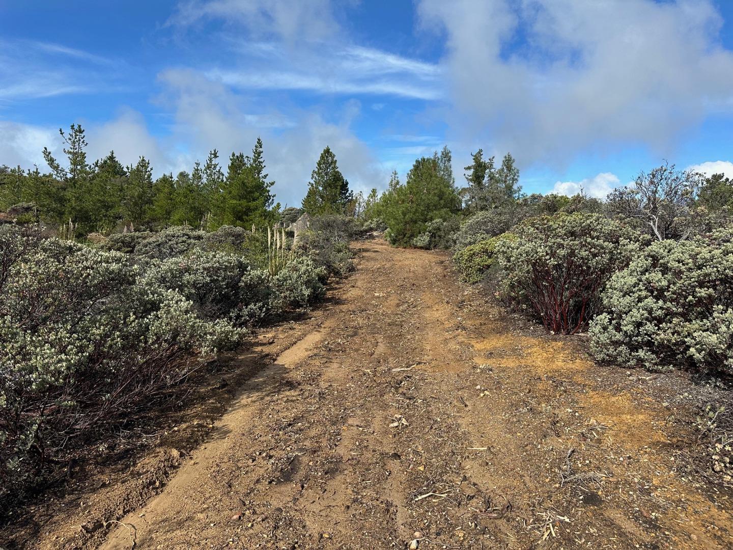 Detail Gallery Image 54 of 54 For 301 Red Dog Rdg, Watsonville,  CA 95076 - – Beds | – Baths