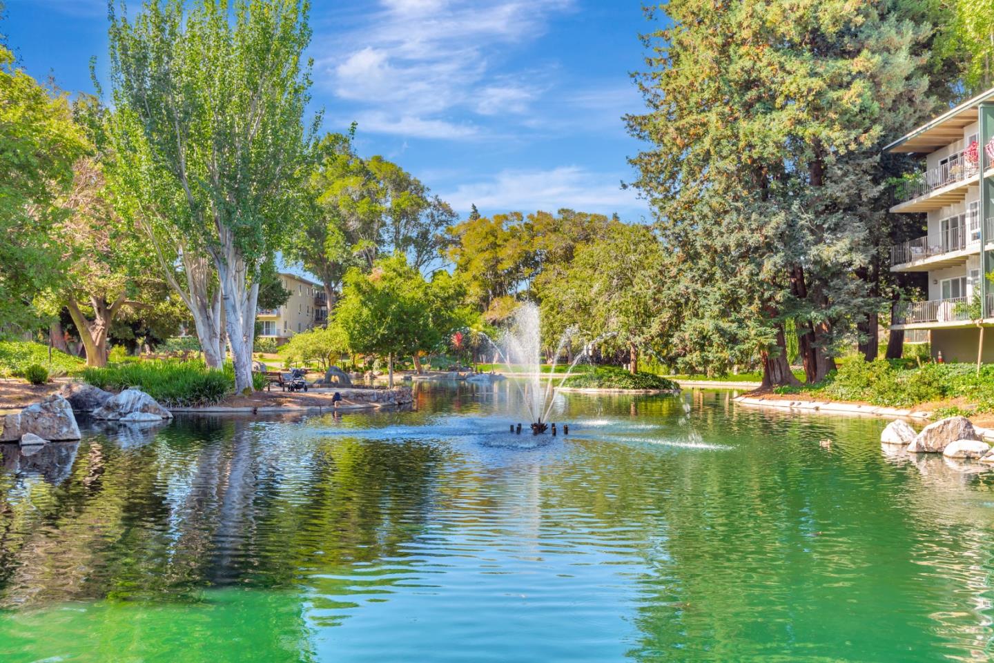 Detail Gallery Image 25 of 30 For 817 N Humboldt St #202,  San Mateo,  CA 94401 - 1 Beds | 1 Baths