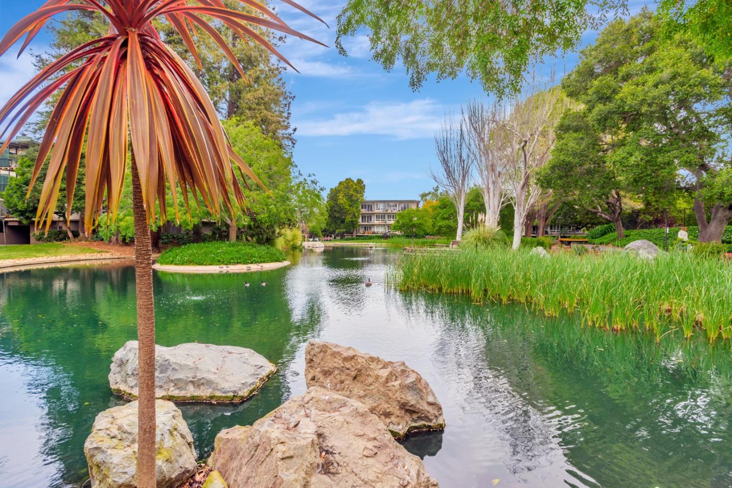 Detail Gallery Image 28 of 30 For 817 N Humboldt St #202,  San Mateo,  CA 94401 - 1 Beds | 1 Baths