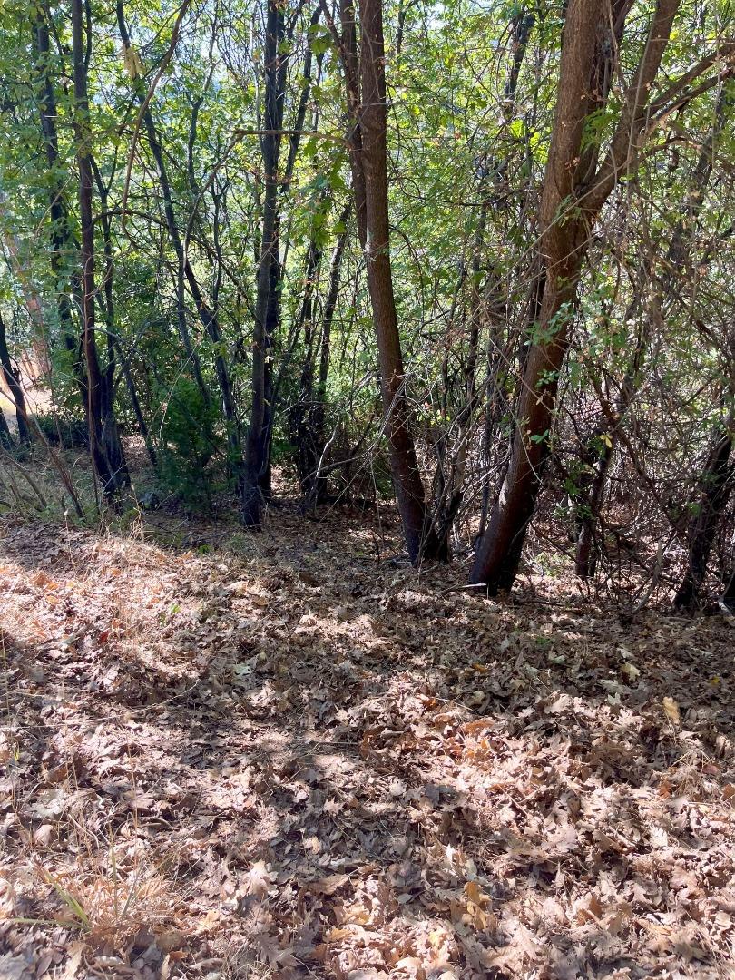 Detail Gallery Image 13 of 15 For 137 Deerhaven Dr, Tuolumne,  CA 95379 - – Beds | – Baths