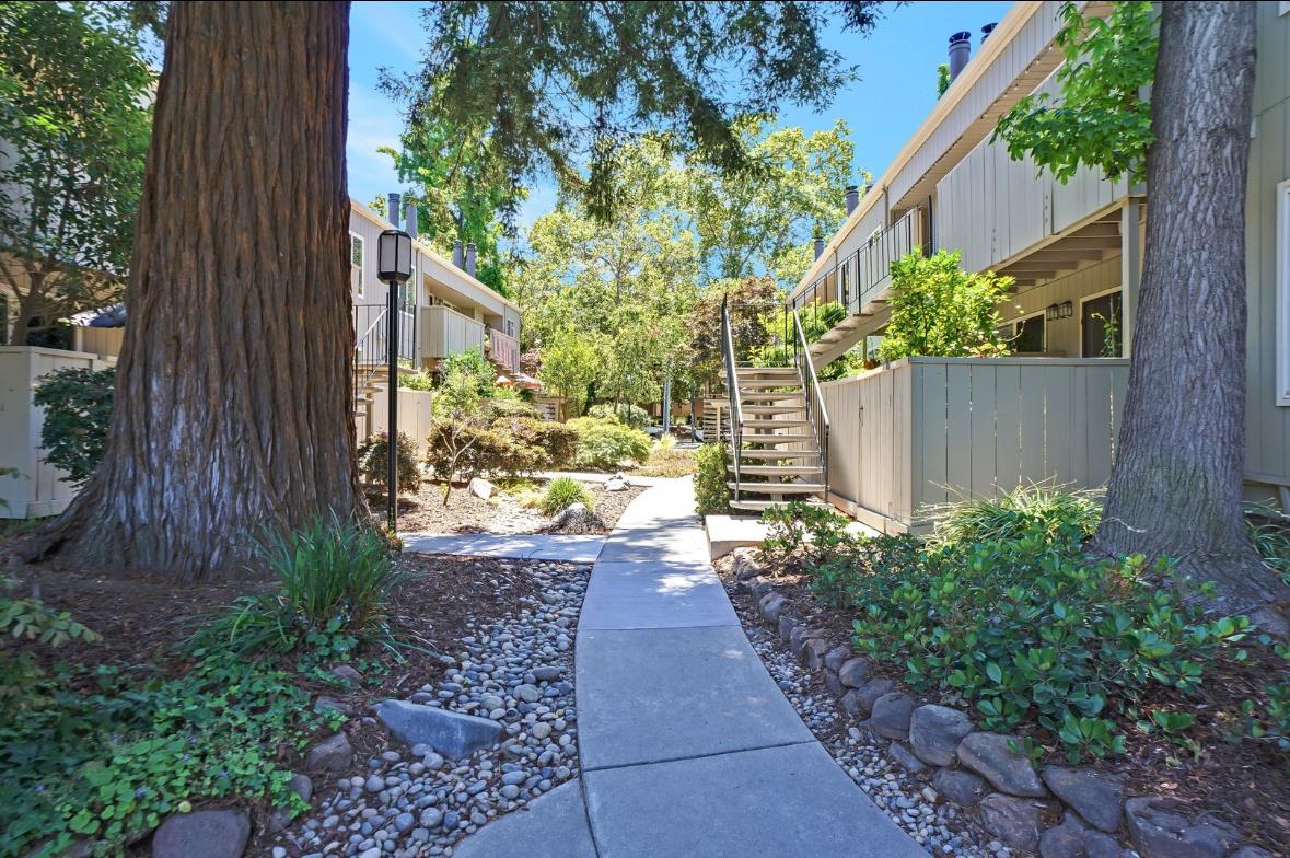 Detail Gallery Image 19 of 22 For 915 Apricot Ave #H,  Campbell,  CA 95008 - 2 Beds | 2 Baths